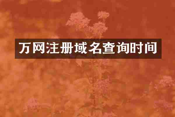 万网注册域名查询时间