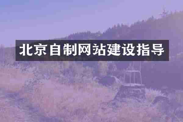北京自制网站建设指导