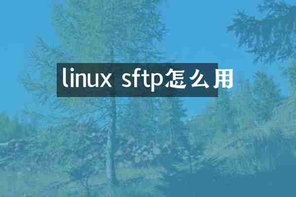 linux sftp怎么用