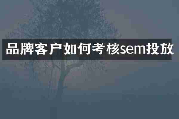 品牌客户如何考核sem投放