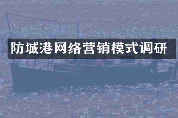 防城港网络营销模式调研