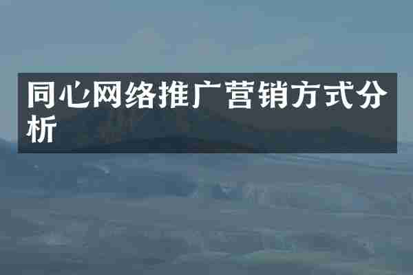 同心网络推广营销方式分析