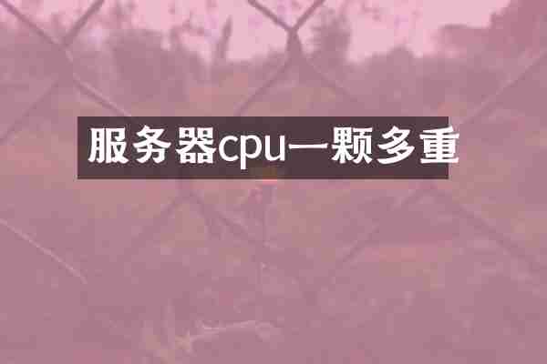 服务器cpu一颗多重