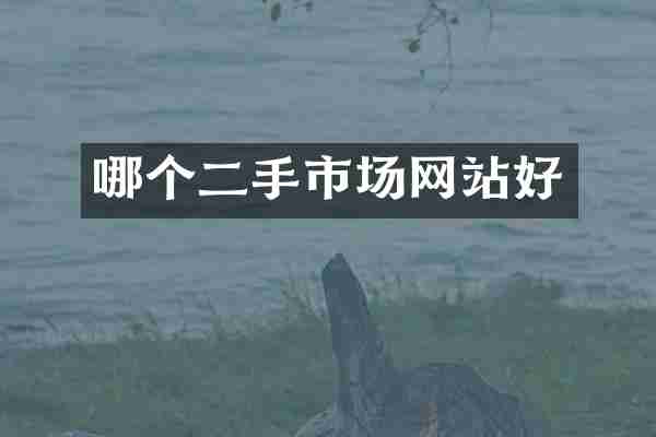 哪个二手市场网站好