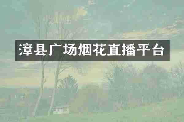 漳县广场烟花直播平台