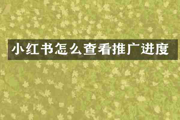 小红书怎么查看推广进度