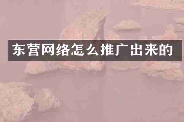 东营网络怎么推广出来的