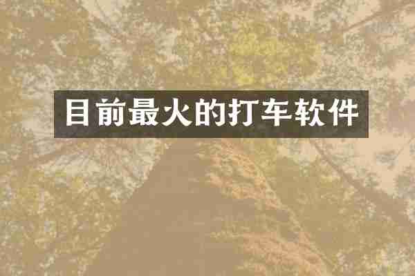 目前最火的打车软件