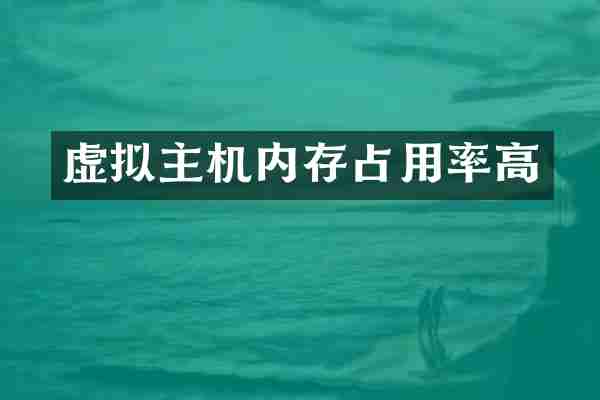 虚拟主机内存占用率高