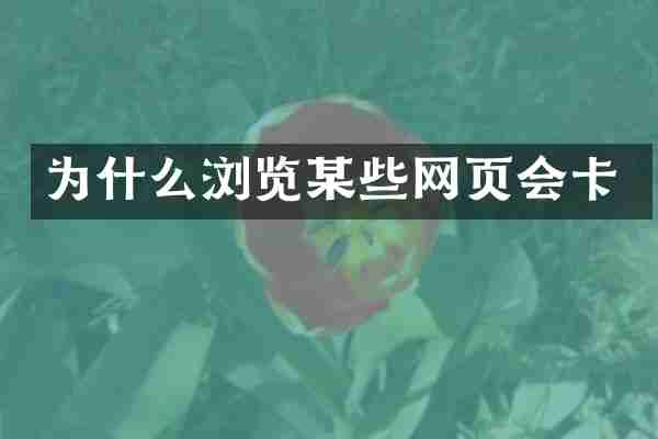 为什么浏览某些网页会卡