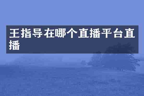 王指导在哪个直播平台直播