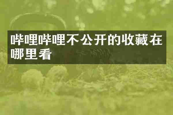 哔哩哔哩不公开的收藏在哪里看