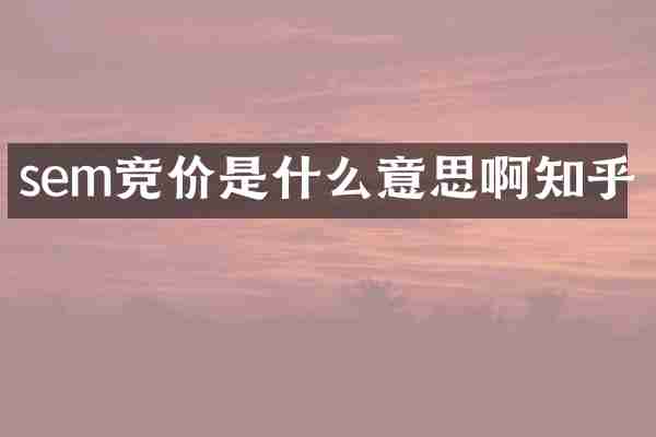 sem竞价是什么意思啊知乎