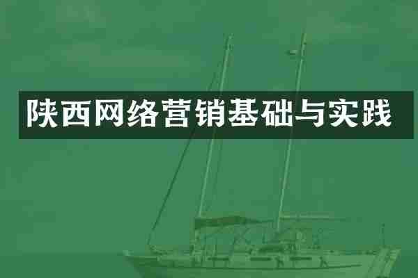 陕西网络营销基础与实践