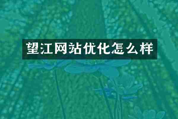 望江网站优化怎么样