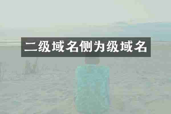 二级域名侧为级域名