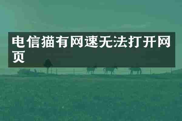 电信猫有网速无法打开网页