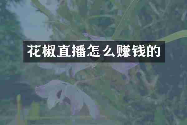 花椒直播怎么赚钱的
