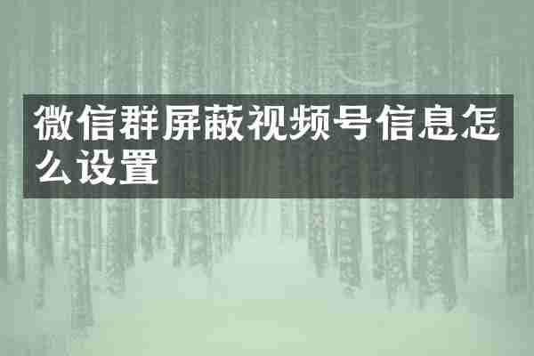 微信群屏蔽视频号信息怎么设置