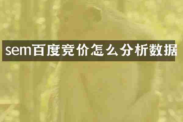 sem百度竞价怎么分析数据
