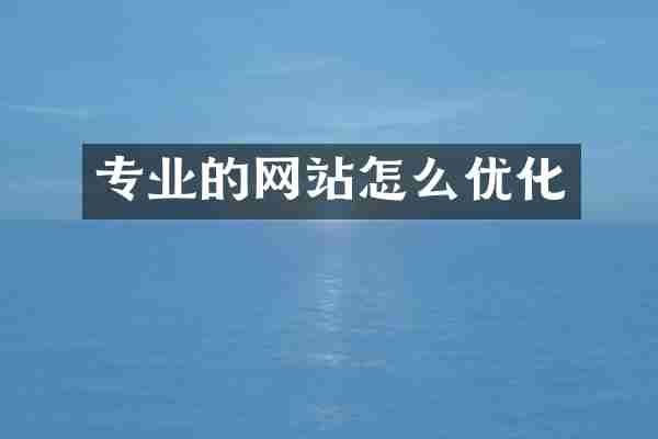 专业的网站怎么优化