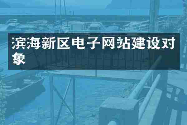 滨海新区电子网站建设对象