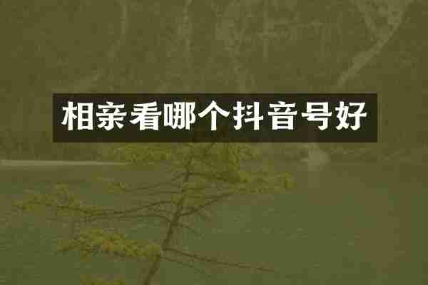 相亲看哪个抖音号好