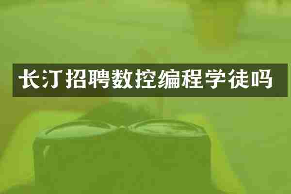 长汀招聘数控编程学徒吗