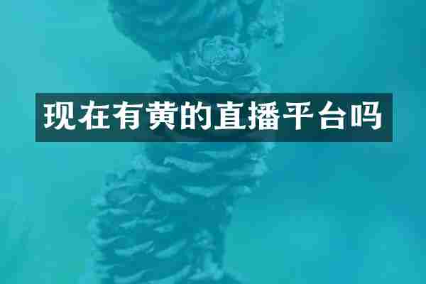 现在有黄的直播平台吗