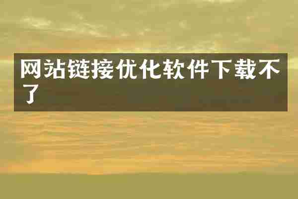 网站链接优化软件下载不了