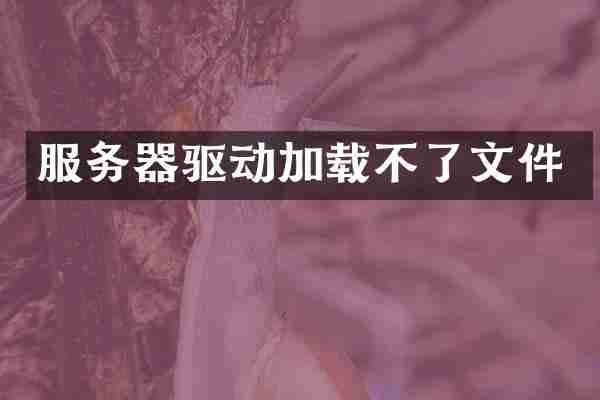 服务器驱动加载不了文件