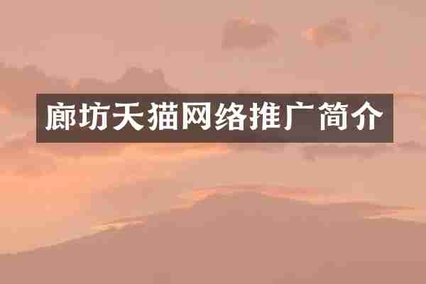 廊坊天猫网络推广简介