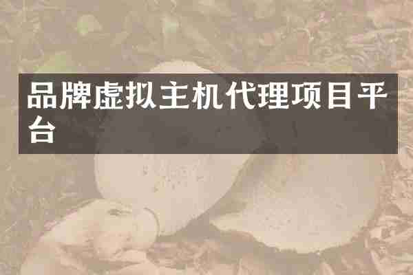 品牌虚拟主机代理项目平台