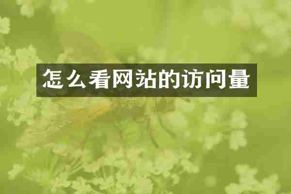 怎么看网站的访问量