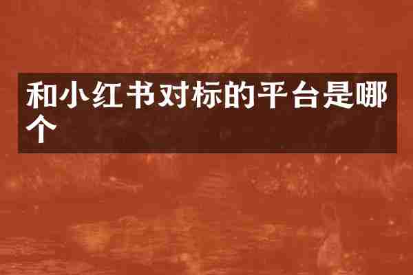和小红书对标的平台是哪个