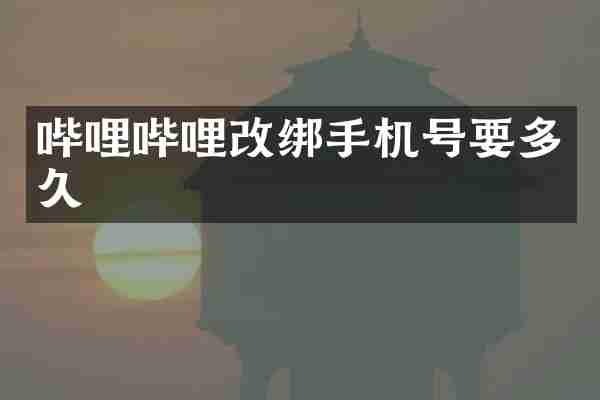 哔哩哔哩改绑手机号要多久