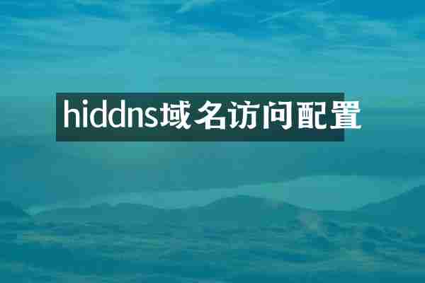 hiddns域名访问配置