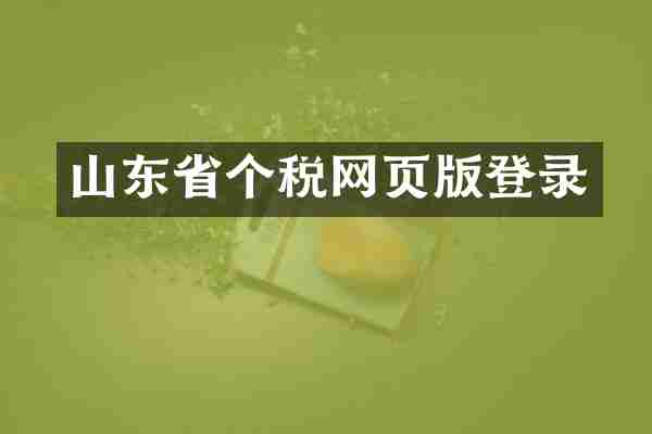 山东省个税网页版登录