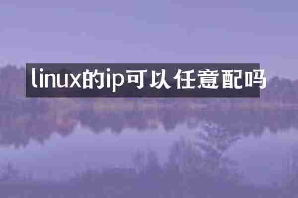 linux的ip可以任意配吗