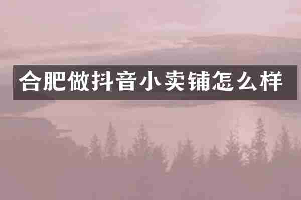 合肥做抖音小卖铺怎么样