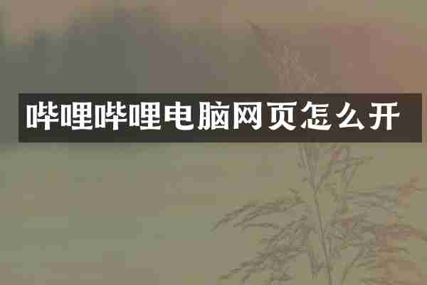 哔哩哔哩电脑网页怎么开