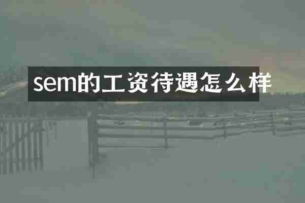 sem的工资待遇怎么样