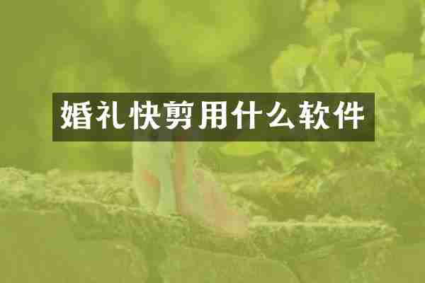 婚礼快剪用什么软件
