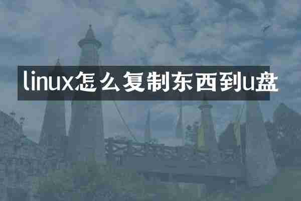 linux怎么复制东西到u盘