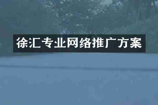 徐汇专业网络推广方案