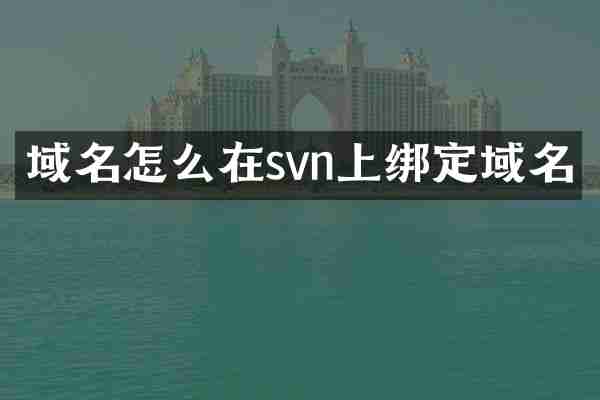 域名怎么在svn上绑定域名