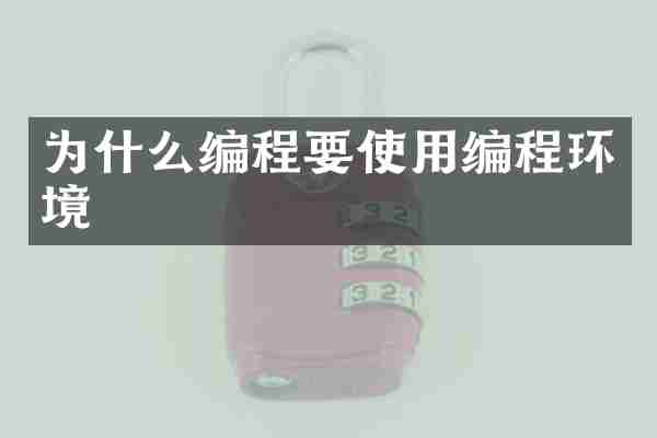 为什么编程要使用编程环境