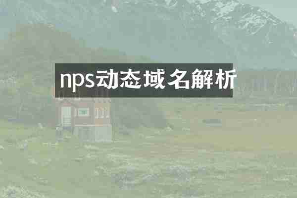nps动态域名解析