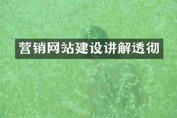 营销网站建设讲解透彻