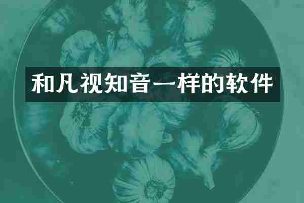 和凡视知音一样的软件